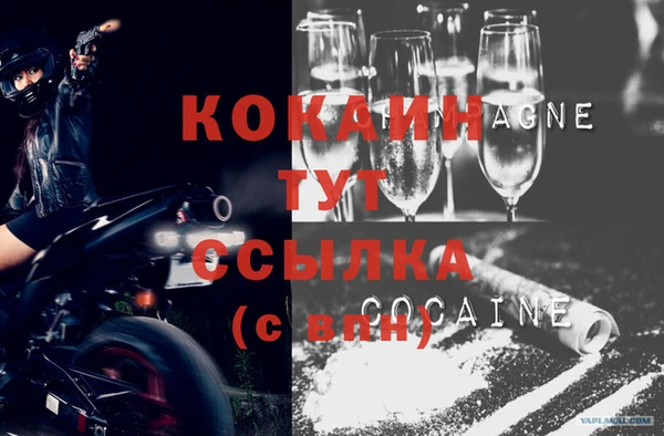 МДПВ Алзамай