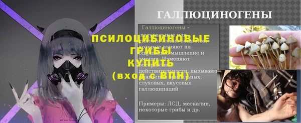 MESCALINE Аркадак