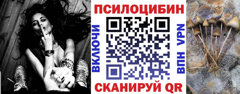 hydra рабочий сайт  где купить наркоту  Красноярск  Псилоцибиновые грибы Psilocybe 