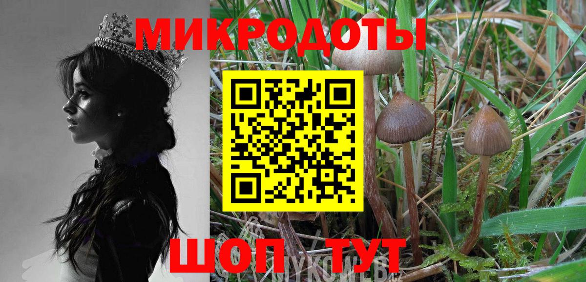 Псилоцибиновые грибы MAGIC MUSHROOMS Красноярск