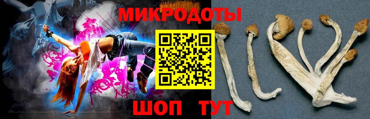 Псилоцибиновые грибы ЛСД  Псилоцибиновые грибы MAGIC MUSHROOMS  Красноярск  Вход с VPN 