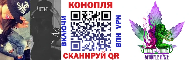 Конопля ГИДРОПОН  даркнет телеграм  Красноярск  сколько стоит 